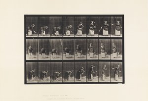 Plaka 295. Çim Tenisi; hizmet by Eadweard Muybridge