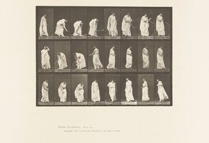 Plaka 299. Topla Oynamak by Eadweard Muybridge