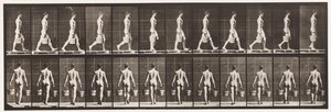 Levha 29. Yürüyüş, Her Elinde Kova Su Taşıma, 1872-1885 by Eadweard Muybridge
