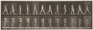 Plaka 2. Yürüyüş, 1872-1885 by Eadweard Muybridge