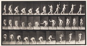 Levha 303. Topu Alıp Fırlatma, 1872-1885 by Eadweard Muybridge