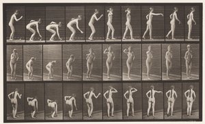 Plaka 304. Top Alıp Fırlatma by Eadweard Muybridge