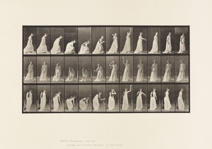 Plaka 306. Topu Alıp Fırlatma, 1885 by Eadweard Muybridge
