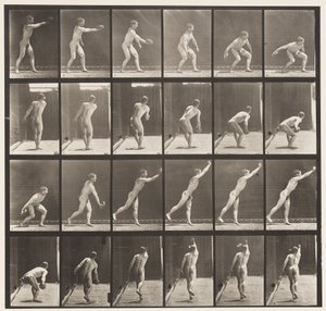 Levha 307. Demir Disk Fırlatma, 1872-1885 by Eadweard Muybridge