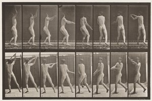 Plaka 309. Çekiç Fırlatma by Eadweard Muybridge