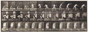 Plaka 310. Atış, 1885 by Eadweard Muybridge