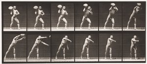Levha 311. 75 librelik Kayayı Kaldırma, 1885 by Eadweard Muybridge