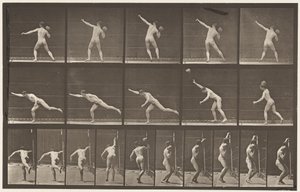 Levha 313. 20 librelik Kayayı Kaldırma, 1885 by Eadweard Muybridge