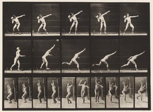 Plaka 314. 20 librelik Kayayı Kaldırma by Eadweard Muybridge