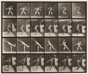 Levha 315. 20 librelik Kayayı Kaldırma by Eadweard Muybridge