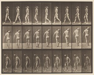 Levha 31. Yürüyüş, Sağ Omuzda 75 librelik Taş Taşıma by Eadweard Muybridge