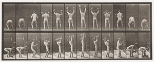 Plaka 323. İki 50-librelik Dumb-Zili Kaldırma ve Düşürme by Eadweard Muybridge