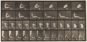 Plaka 328. Kürek by Eadweard Muybridge