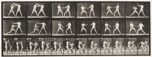 Plaka 329. Boks; (Ayakkabı) by Eadweard Muybridge