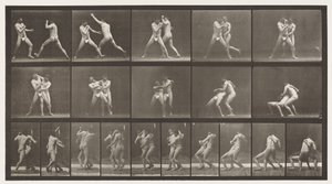 Plaka 331. Boks; Çapraz Kalçalar için Dur by Eadweard Muybridge