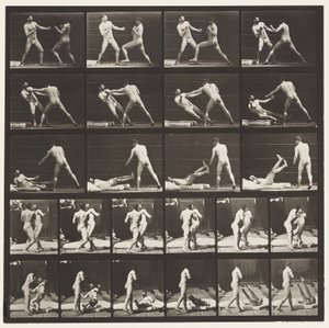 Plaka 333. Boks; 53 Yere Çarpma 52 (Ayakkabı) by Eadweard Muybridge