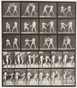 Plaka 334. Boks; Eldivenli (Ayakkabı) by Eadweard Muybridge