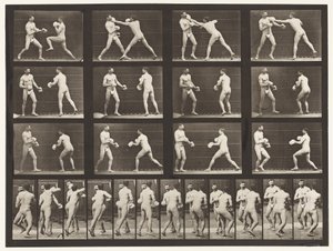 Plaka 335. Boks; Eldivenli by Eadweard Muybridge