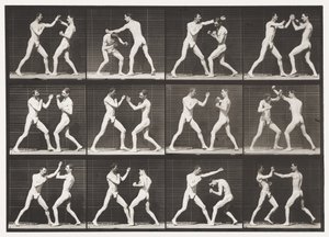Plaka 336. Boks; Açık El (Ayakkabı) by Eadweard Muybridge
