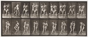 Plaka 337. Boks; Elini aç by Eadweard Muybridge
