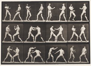 Plaka 338. Boks; Açık El (Ayakkabı) by Eadweard Muybridge