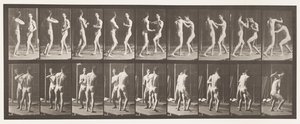 Plaka 339. Boks; Elini aç by Eadweard Muybridge