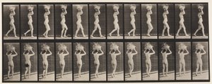 Plaka 33. Yürüyüş, 14-lb. Baştaki Sepet, Eller Kaldırılmış, 1872-1885 by Eadweard Muybridge