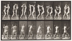 Plaka 341. Boks; Elini aç by Eadweard Muybridge