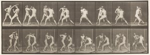 Plaka 342. Boks; Açık El, 1872-1885 by Eadweard Muybridge