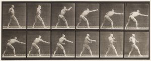 Plaka 344. Vuruş (Sağ El) by Eadweard Muybridge