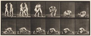 Plaka 345. Güreş, Kilit, 1885 by Eadweard Muybridge