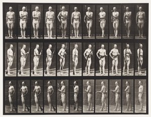 Plaka 351. Süngüleri Sabitle ve Çöz, 1872-1885 by Eadweard Muybridge
