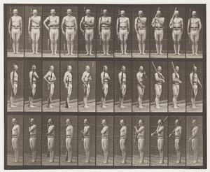 Levha 352. Omuz, Düzen ve Taşıma Kolları by Eadweard Muybridge