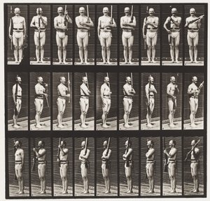 Plaka 353. Destek Kolları ve Kolları Limanı, 1872-1885 by Eadweard Muybridge