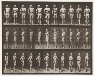 Plaka 354. Taşıma Kolları, Geçit Töreni ve Arka Kollar by Eadweard Muybridge