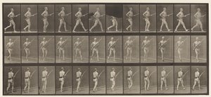 Plaka 359. Şarj Bayoneti, 1872-1885 by Eadweard Muybridge
