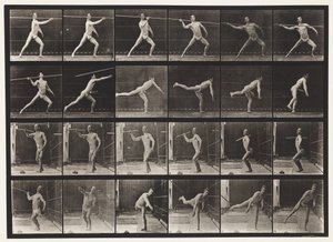 Plaka 361. Mızrak Fırlatma, 1872-1885 by Eadweard Muybridge