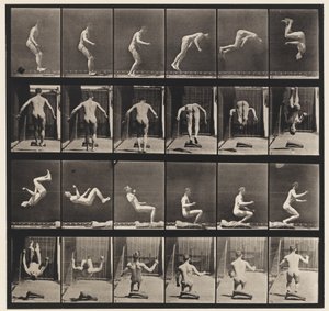 Plaka 363. Koşan Takla, 1885 by Eadweard Muybridge