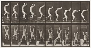 Plaka 368. Akrobat, Ellerde İnen Merdivenler by Eadweard Muybridge