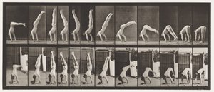 Plaka 371. Acrobat, Dikey Basma by Eadweard Muybridge
