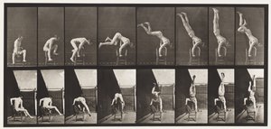 Plaka 373. Acrobat, Sandalyeden Yukarı Basma by Eadweard Muybridge