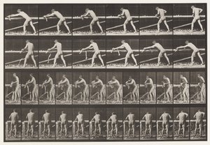 Levha 379. Marangoz, Planya Tahtası, 1872-1885 by Eadweard Muybridge