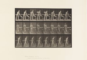 Plaka 380. Marangoz, Testere, 1872-1885 by Eadweard Muybridge