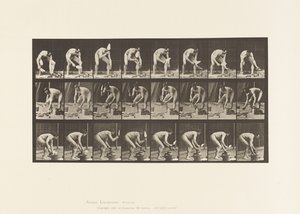 Plaka 381. Tuğla Döşen Mason by Eadweard Muybridge