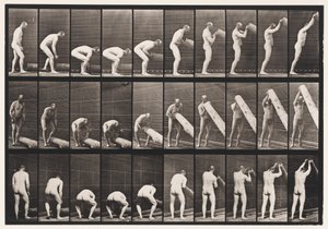 Plaka 382. Uçtan Bir Kütüğü Kaldırma, 1872-1885 by Eadweard Muybridge