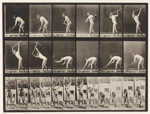 Levha 385. Çiftçi, Kazma Kullanarak, 1872-1885 by Eadweard Muybridge