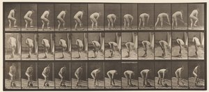 Levha 388. Kürek Kullanan Çiftçi, 1872-1885 by Eadweard Muybridge