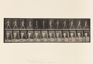 Plaka 389. Çiftçi, Saçılan Tohum, 1872-1885 by Eadweard Muybridge
