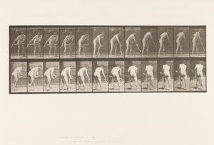 Plaka 390. Çiftçi, Çim Biçme by Eadweard Muybridge