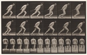 Plaka 392. Bahçe Silindirini Sürüklemek, 1872-1885 by Eadweard Muybridge